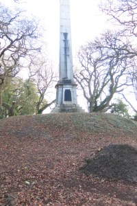 BN Monument Jan 2015-11